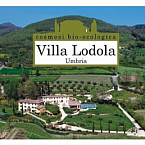 守山区志段味にある美容室Ritta 白髪をきれいに染め続けたいあなたへ①